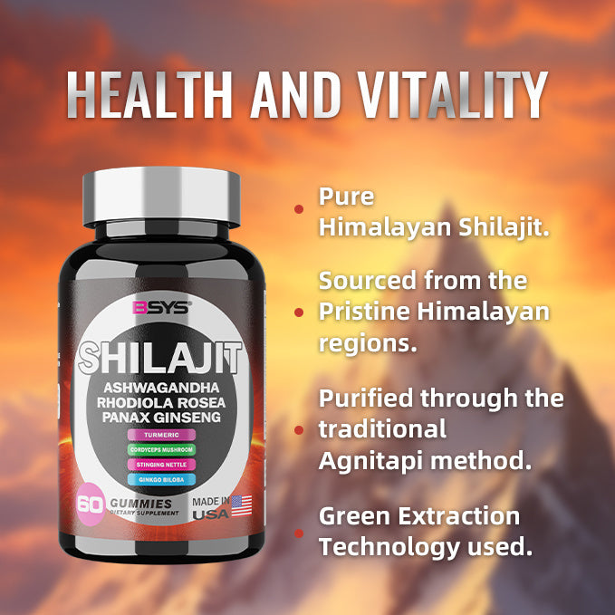 BSYS 8-in-1 Shilajit Gummies – 60 Count Energy, Vitality & Wellness Supplement