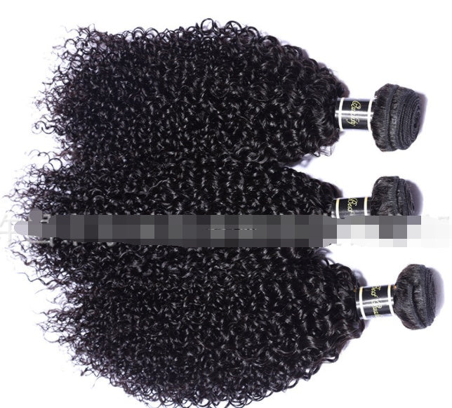 Live Export Human Hair Wigs – Malaysian Hair Extensions & Weave Bundles for Global Shipping
