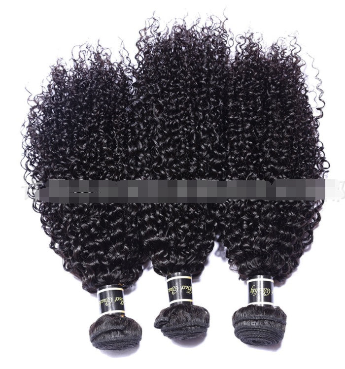 Live Export Human Hair Wigs – Malaysian Hair Extensions & Weave Bundles for Global Shipping