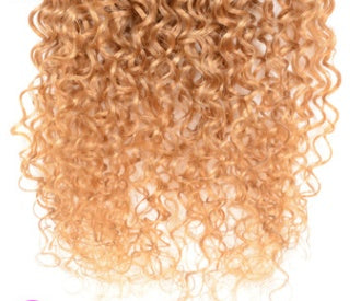 Real Human Hair Extensions – Gradient Color Wig & Clip-In Hair Extensions for Natural Styling