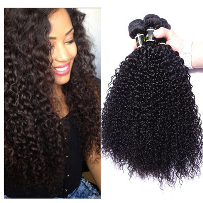 Live Export Human Hair Wigs – Malaysian Hair Extensions & Weave Bundles for Global Shipping