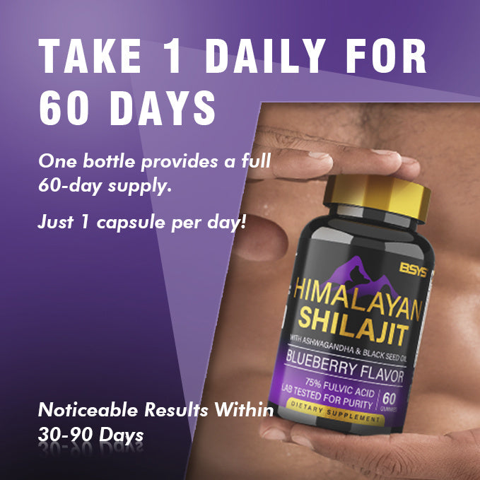 BSYS Shilajit Gummies – 60 Count Natural Energy, Stamina & Vitality Supplement