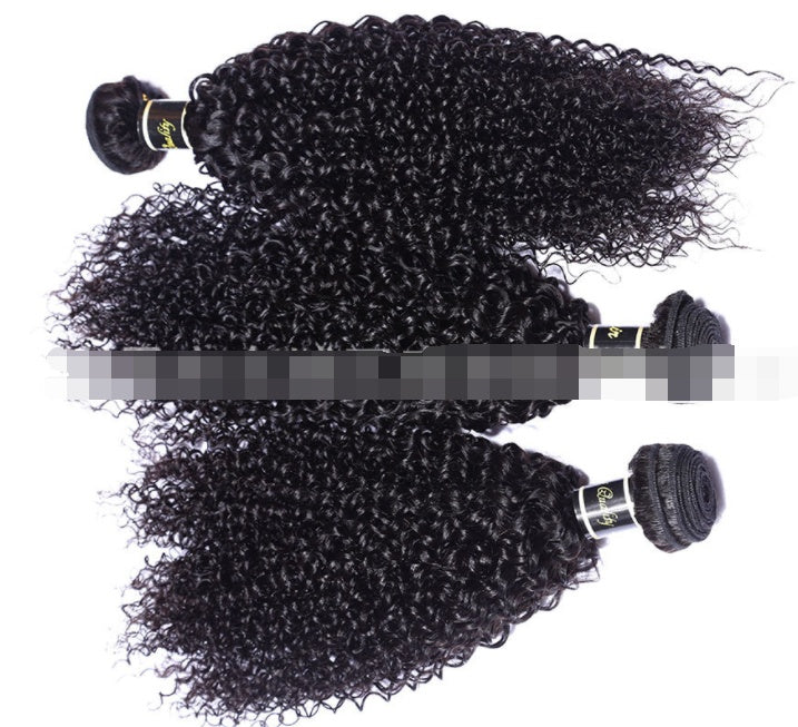 Live Export Human Hair Wigs – Malaysian Hair Extensions & Weave Bundles for Global Shipping