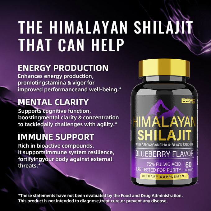 BSYS Shilajit Gummies – 60 Count Natural Energy, Stamina & Vitality Supplement