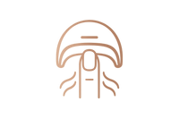 Nail Dryers logo symbol